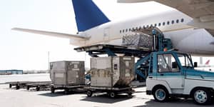 Parcels shipped worldwide